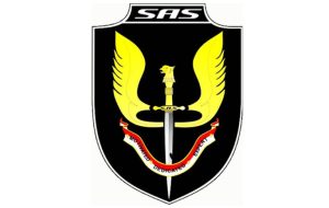 sas-logo-768x487
